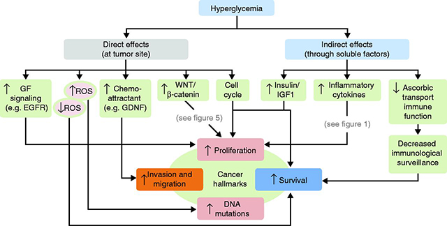 hyperglycemia chart