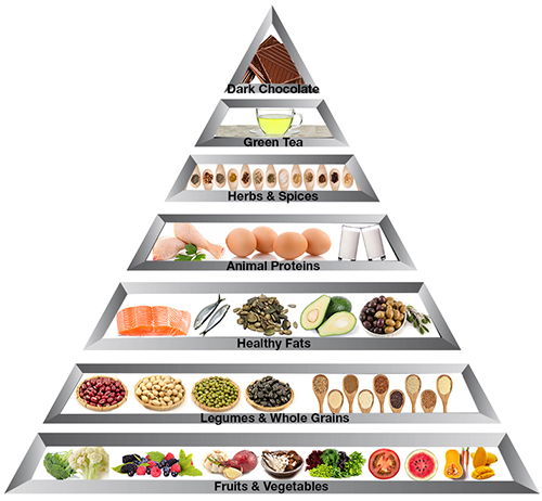 food pyramid