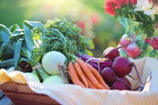 A basket of carrots, beets, and other vegetables