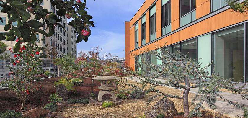 Osher Center Garden