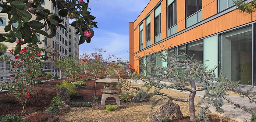 Osher Center Garden