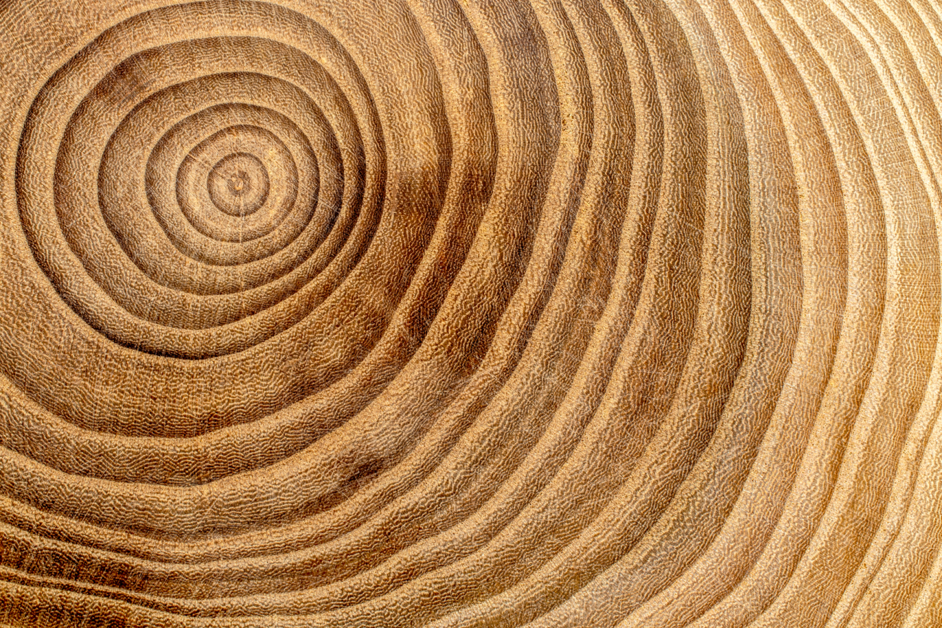 Tree rings