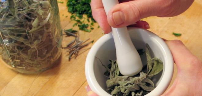 Ayurvedic Herbs